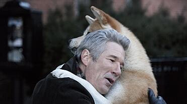 Hachiko - en ven for livet