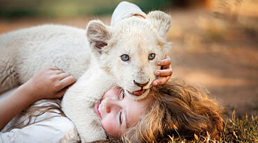 Mia and the white lion